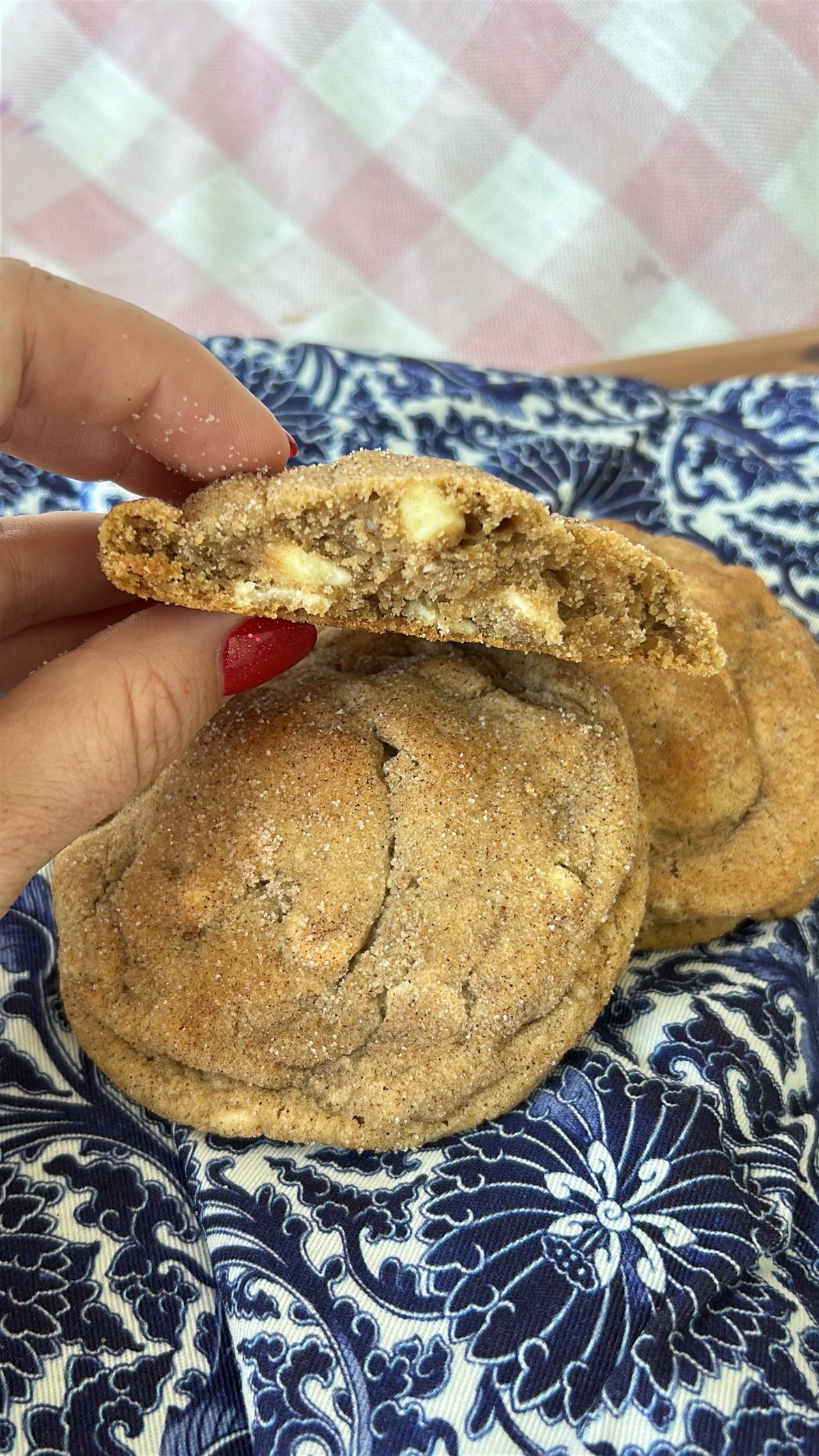 Cinnadoodle Cookie
